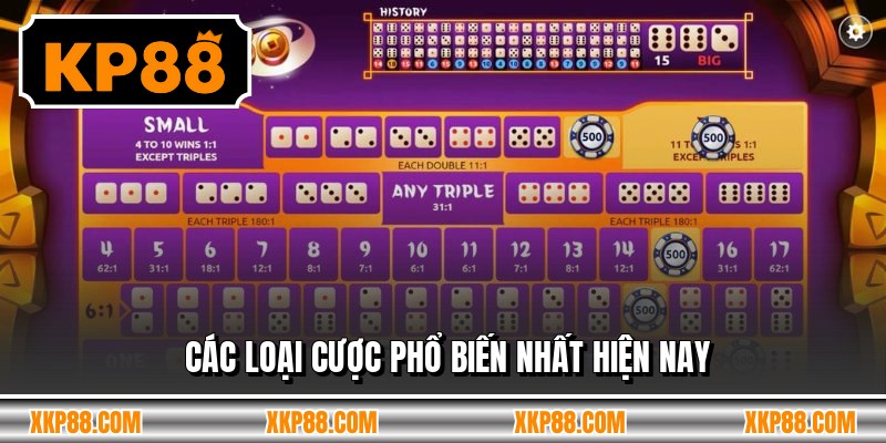 Các loại cược phổ biến nhất hiện nay