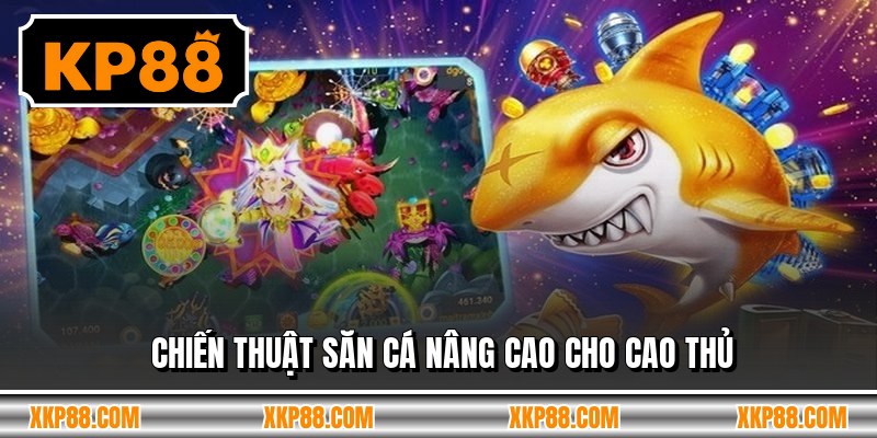 Chiến thuật săn cá nâng cao cho cao thủ