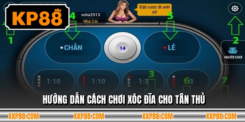 Hướng dẫn cách chơi xóc đĩa cho tân thủ