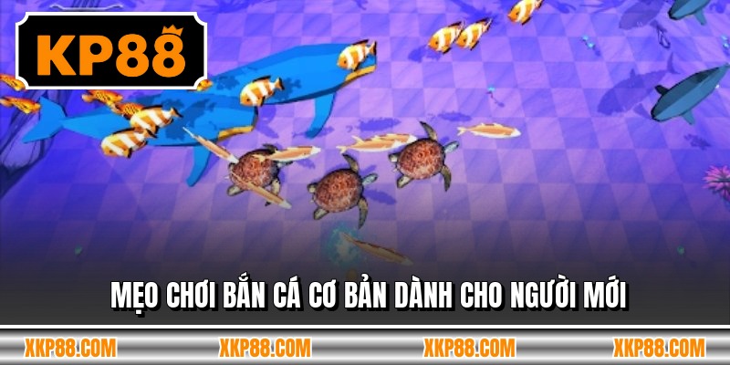 Mẹo chơi bắn cá cơ bản dành cho người mới