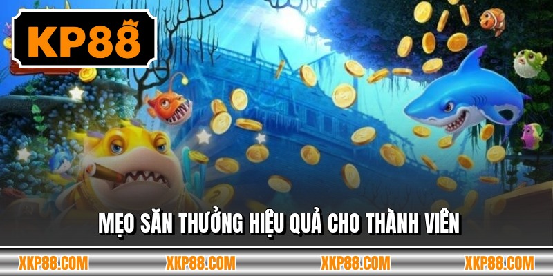 Mẹo săn thưởng hiệu quả cho thành viên