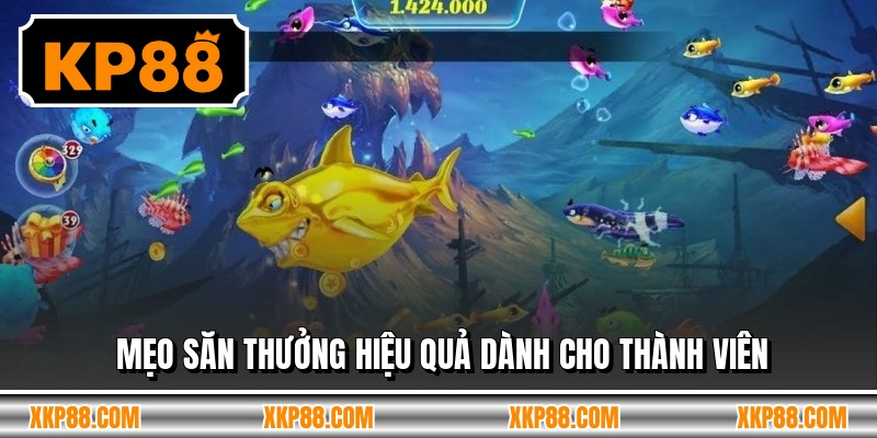 Mẹo săn thưởng hiệu quả dành cho thành viên