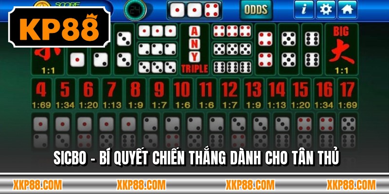 Sicbo - Bí Quyết Chiến Thắng Dành Cho Tân Thủ
