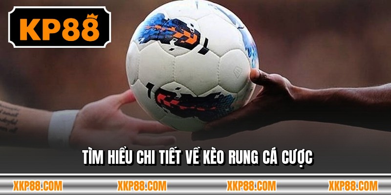 Tìm hiểu chi tiết về kèo rung cá cược