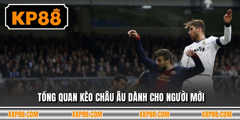 Tổng quan kèo châu âu dành cho người mới