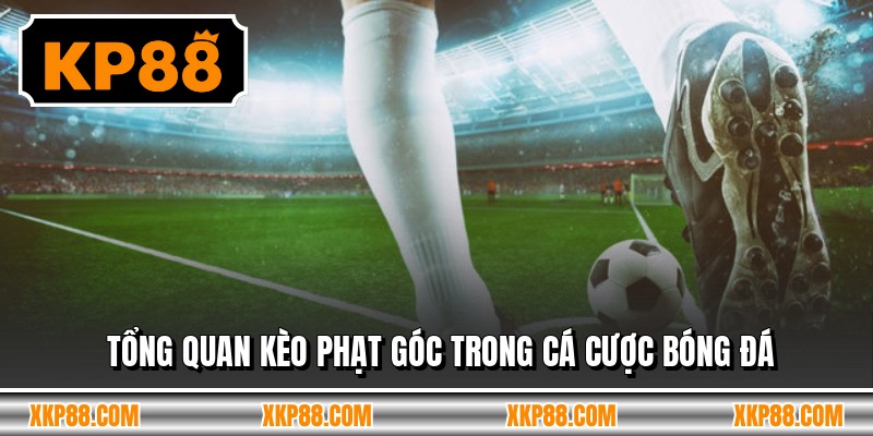 Tổng quan kèo phạt góc trong cá cược bóng đá